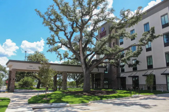 Comfort Suites - South Austin, фото 34 Comfort Suites - South Austin, фото 34