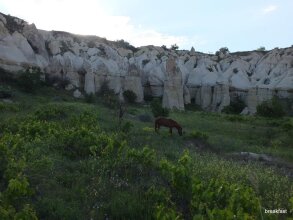 Anatolia Cave Hotel Pansion, фото 40