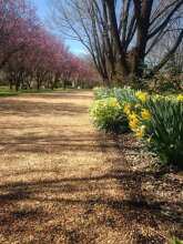 Ophir Gold Bed & Breakfast, фото 15