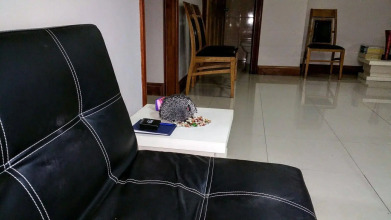 Modern London Decor Guest Apartments, фото 10 Modern London Decor Guest Apartments, фото 10