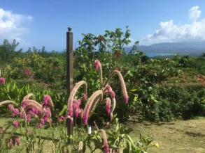 Green Castle Estate, фото 32