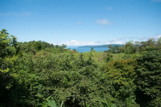 Drake Bay Greenleaf, фото 7