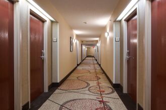 Best Western Plus Belle Meade Inn & Suites, фото 44