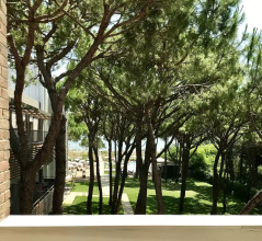 Hotel Mediterraneo, фото 12