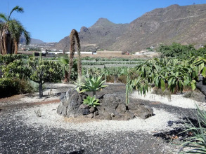 Finca Los Llanitos I, фото 7