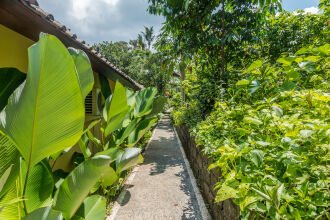 Zen Rooms Ubud Mas, фото 21