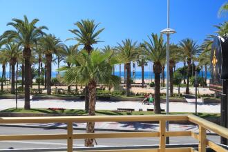 Complejo Novelty, фото 31