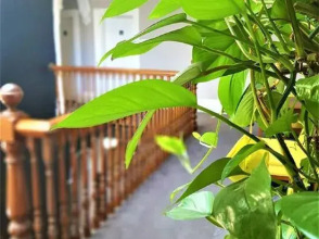 Grand Hotel, фото 9