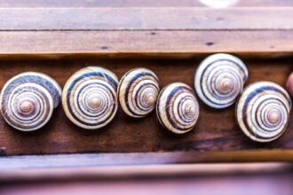 Conchita Flores B&b, фото 7 Conchita Flores B&b, фото 7