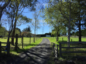 Height Of Dunedin, фото 17 Height Of Dunedin, фото 17