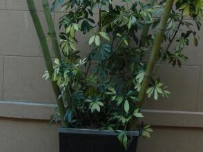 Sagardi Loft Osteria, фото 44 Sagardi Loft Osteria, фото 44