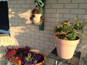 Springmead B&b, фото 27