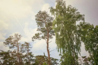 Tyleback, Sure Hotel Collection By Best Western, фото 15 Tyleback, Sure Hotel Collection By Best Western, фото 15