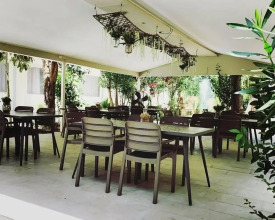 Tasiana Star, фото 20 Tasiana Star, фото 20