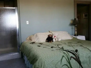 Stone Gables Bed & Breakfast, фото 42 Stone Gables Bed & Breakfast, фото 42