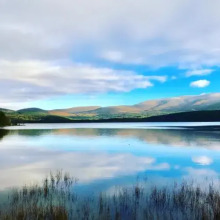 Bunillidh Bed, фото 15 Bunillidh Bed, фото 15
