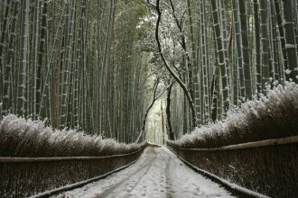 Racine Home Kyoto, фото 42