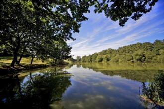 Stoke By Nayland Hotel, Golf And Spa, фото 29