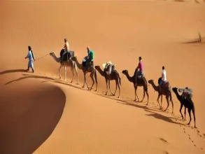 Maison Aicha, фото 31 Maison Aicha, фото 31