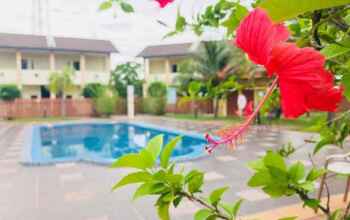 Shell Out Cenang Beach Resort, фото 33 Shell Out Cenang Beach Resort, фото 33