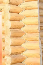 Green Style, фото 21