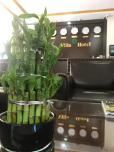 Villa Hotel, фото 23