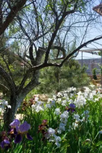 Guest House Villa Sineglazka, фото 18 Guest House Villa Sineglazka, фото 18