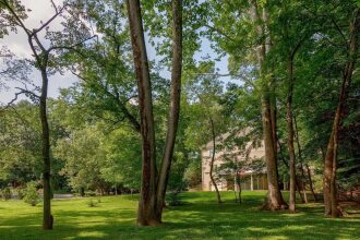Hike to Historic Fort Marcy Park and Potomac River, фото 7
