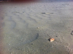 Green Sea Complex 11, фото 12 Green Sea Complex 11, фото 12