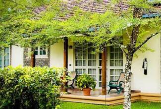 The Tamarind Tree (jw), фото 8 The Tamarind Tree (jw), фото 8