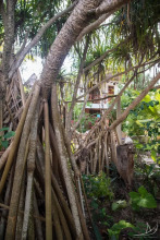 Casa Umoja Guesthouse, фото 29 Casa Umoja Guesthouse, фото 29