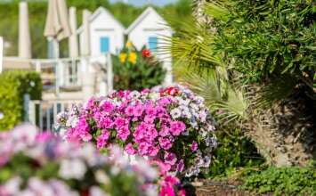 Hotel Aurora, фото 9