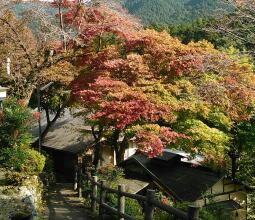 Matsuno Onsen Suikoen, фото 38