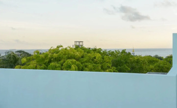 Green Flora, фото 22 Green Flora, фото 22