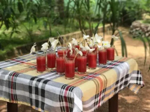 Sylvester Villa Hostel Negombo, фото 19 Sylvester Villa Hostel Negombo, фото 19