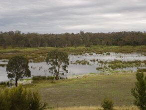 Frog Gully Cottages, фото 12