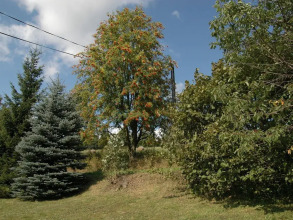 Spacious Cottage in the Giant Mountains, 1 km From the Skislopes, фото 34