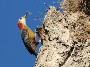 Green Castle Estate, фото 41