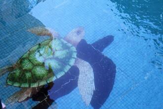 RESIDENCIAL, фото 24 RESIDENCIAL, фото 24