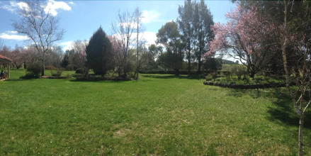 Ophir Gold Bed & Breakfast, фото 39