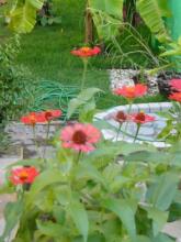 Pousada 100 Passos, фото 16