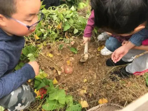 Wastone, фото 22 Wastone, фото 22