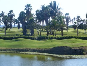 LA Peninsula, фото 15