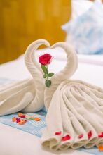 Caroline Guest House, фото 13