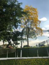 Finca Hotel El Meson, фото 22 Finca Hotel El Meson, фото 22