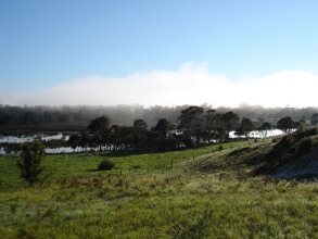 Frog Gully Cottages, фото 15