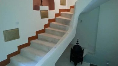 Riad Adraoui, фото 33 Riad Adraoui, фото 33