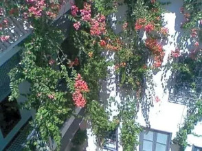 Les Jardins De Riad Laarouss, фото 39 Les Jardins De Riad Laarouss, фото 39