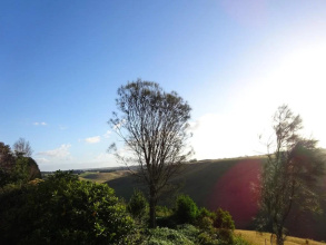Cobden Crest Cottages, фото 8