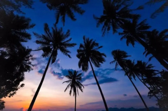 The Coconut Beach Villa, фото 2